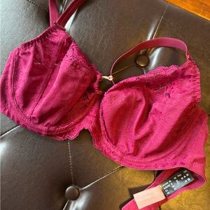 Panache Envy Lace Bra in Deep Burgundy